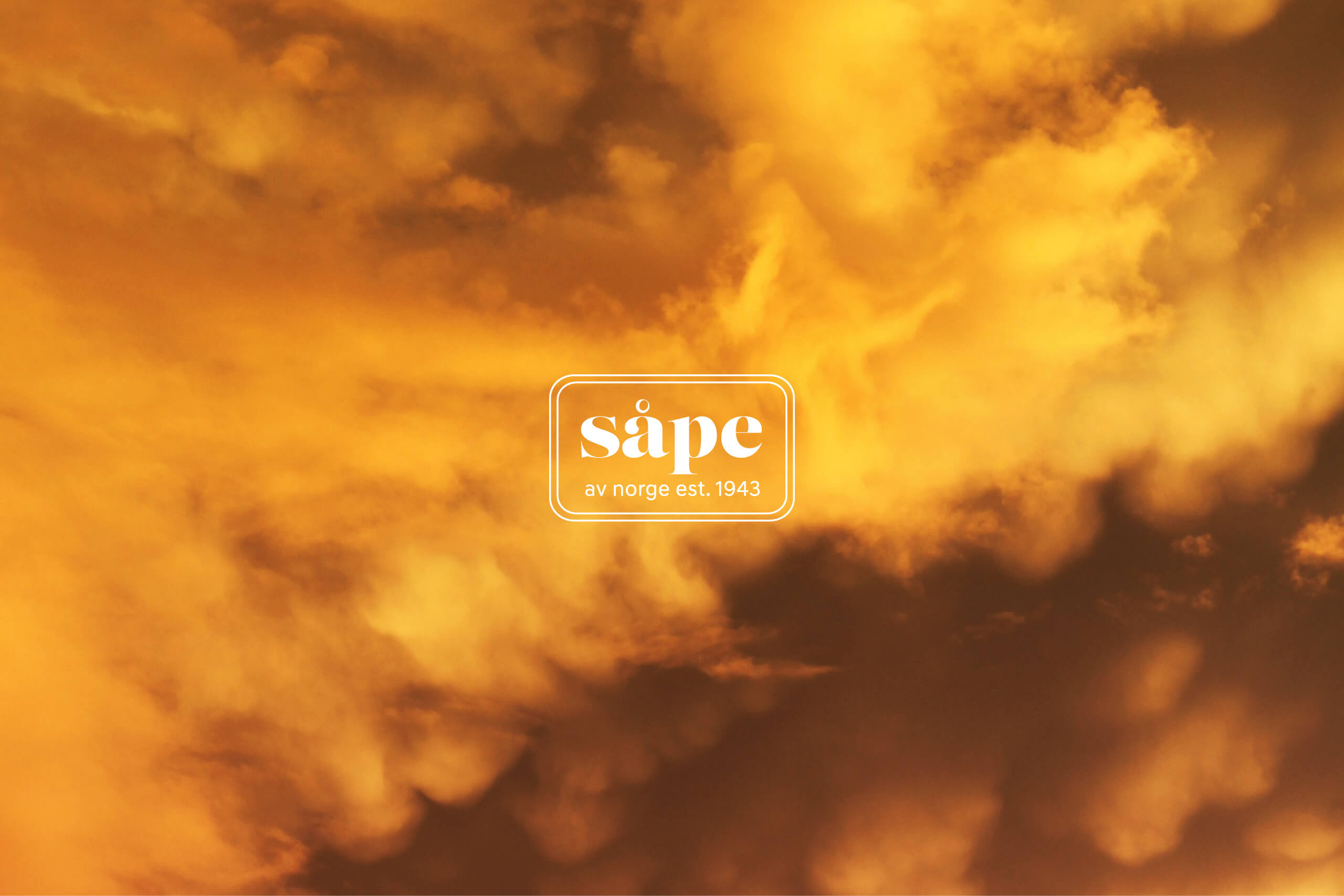 Sape-Webpraesentation