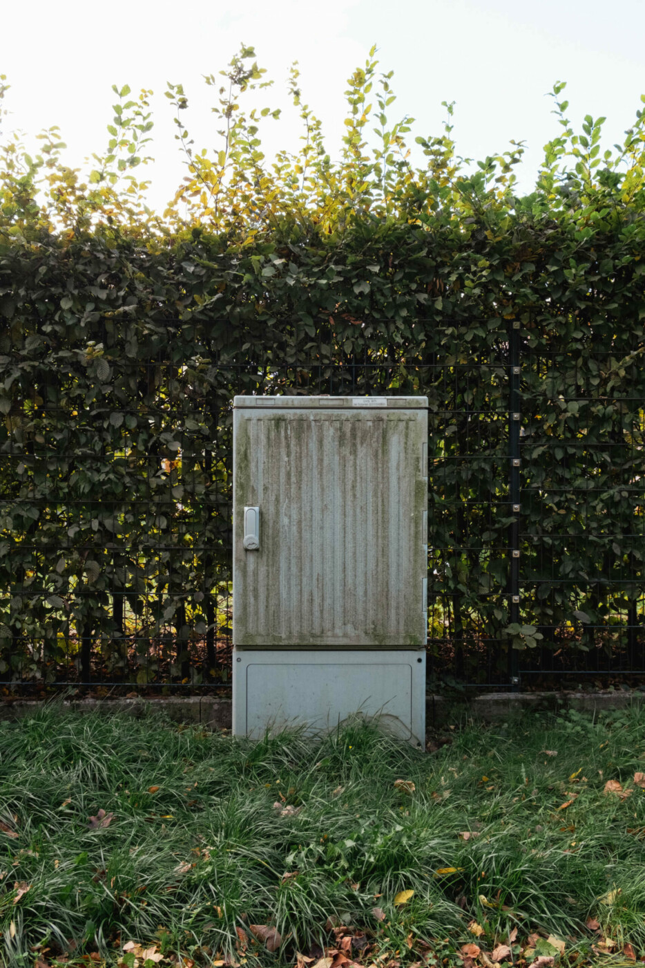 Verwitterter Verteilerkasten vor einer Hecke mir Rasen ring herum.